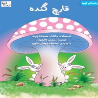 قارچ گنده